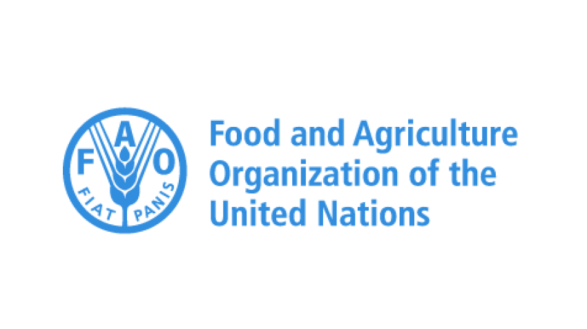 FAO–Hungarian Government Scholarship Programme 2026–2027